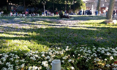 Photos of İspark