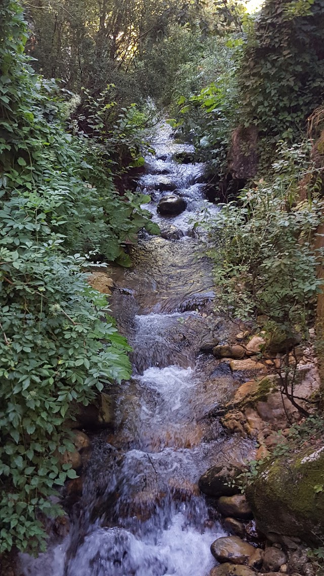 Alfedena