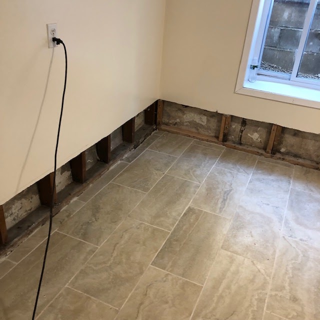 Mold Inspection & Removal photo