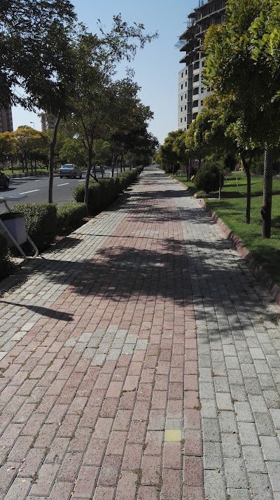 Photos of Shamim Park