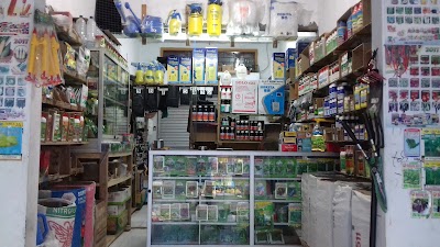 Photos of Pasar Tual