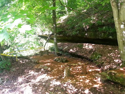 Photos of Knox Acres Campgrounds