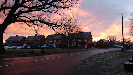 Halstead Park - Visual
