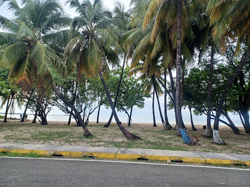 Playa Eléctrico - Thumbnail