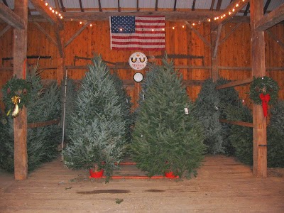 Photos of Grupp's Christmas Tree Farm