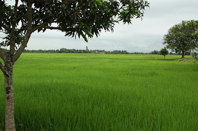 Photos of Jafarganj Bus Stop