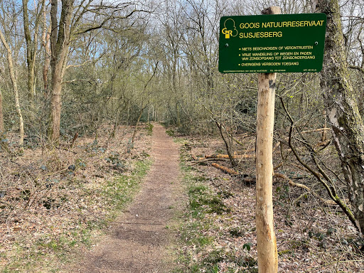 Goois Natuurreservaat Sijsjesberg - Thumbnail