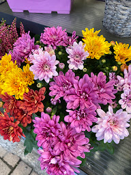 Photo n°7 de Un jour, une fleur à Sarrebourg (Fleuriste)