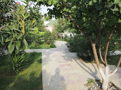 Photos of Pavilion Guest House