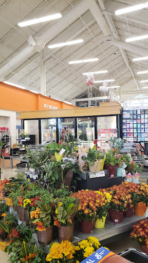 Atlantic Superstore Somerset Street - Thumbnail