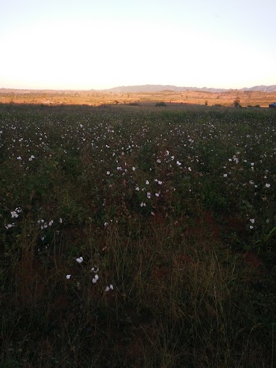 Photos of ShweNyaung