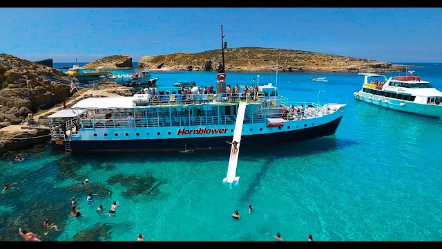Hornblower Cruises
