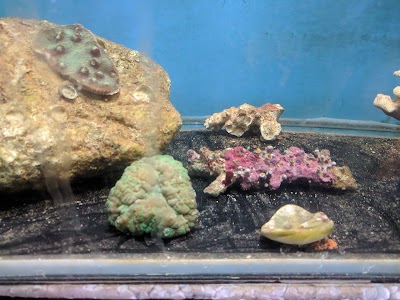 Photos of Acuario Escondido