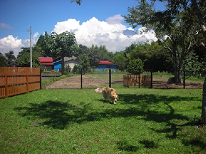 ペットホテルドッグテールＷＡＮ