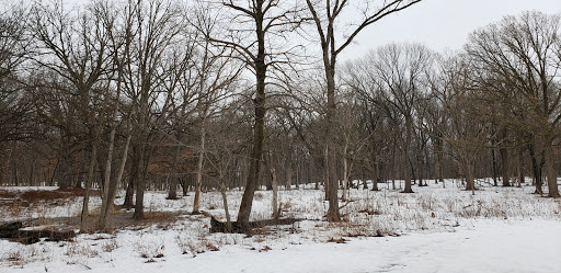 Pioneer Woods Picnic Grove - Thumbnail