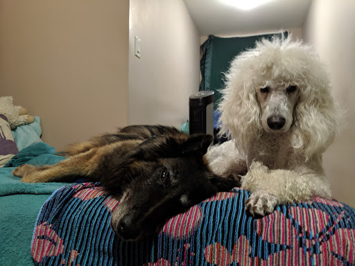 Coastal Rivers Pet Hospital - Thumbnail