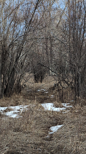 Carburn Park Loop - Visual