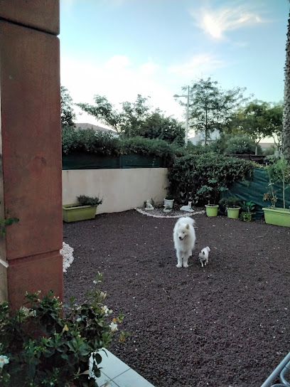 Boules de poils et compagnie - petsitter