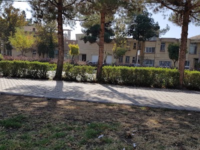 Photos of پارک آتشنشانی