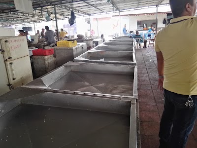 Photos of Square Fish