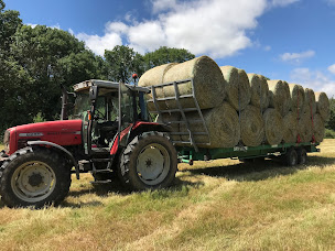 Photo n°3 de La Ferme de Jasson à Brains (Ferme)