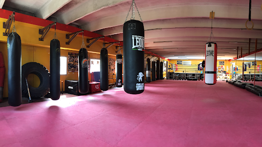 Bronx Gym Cesena - Palestra Muay Thai, Boxe, Pugilato, Cross Training
