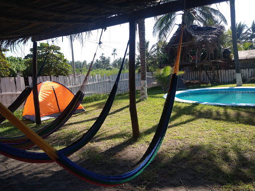 Zona Surf - Visual
