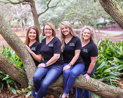 Carolina Dental Care - Thumbnail
