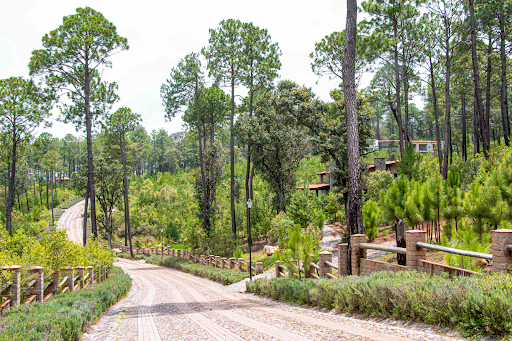 Bosques de la Cañada Tapalpa - Thumbnail
