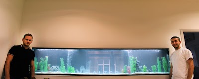 Photos of Aquarium Design