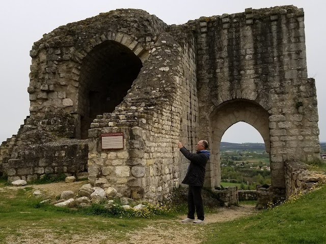 Château de Castelnau-de-Lévis