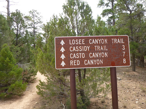 Losee Canyon Trailhead - Thumbnail