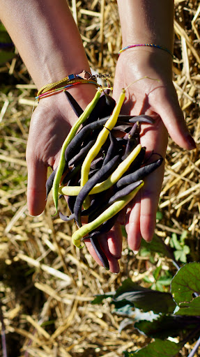 Photo 2 - Symbiose restaurant