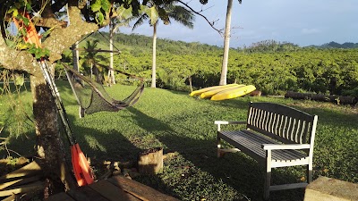 Photos of Kauwai Homestay
