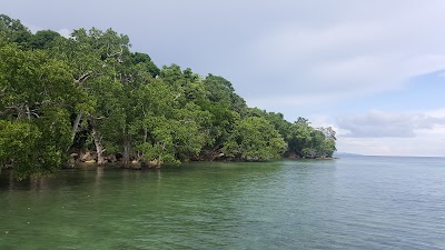 Photos of PANDAWA RESORT