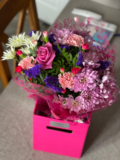 101 Carnations - Visual
