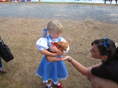Photos of Tlc Animal Hospital