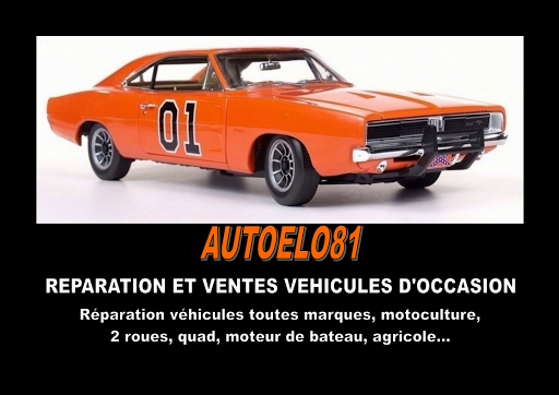 Autoelo81