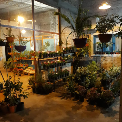 TURI LUBRICENTRO-ZOLLINGER REPUESTOS - Foto 1