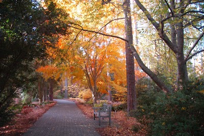 Photos of South Carolina Botanical Garden - Fran Hanson Visitor's Center