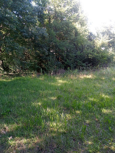Bosco di Campagna Gallery - Italy