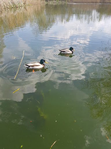 Parc de la Roselière - Thumbnail
