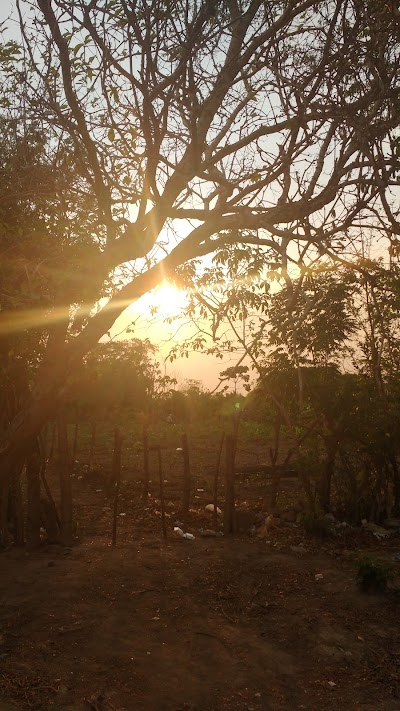 Photos of Campo Las Delicias