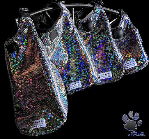 Pawsitive Innovations - Visual