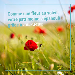 Photo n°1 de Conseil et stratégie en gestion de patrimoine - Pascal Empereur - Heyrieux à Heyrieux (Conseiller fiscal)