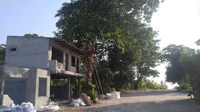 Photos of Waataru Cafe