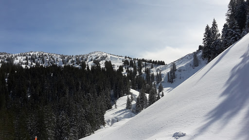 Alpe Hörnle - Thumbnail