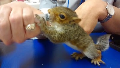 Photos of Cape Animal Medical Centre (24 hours)