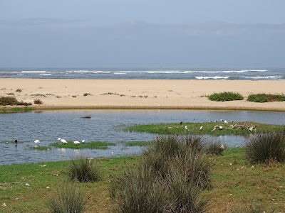 Photos of Plage Oued Merzeg Chez M.Karim&houssam