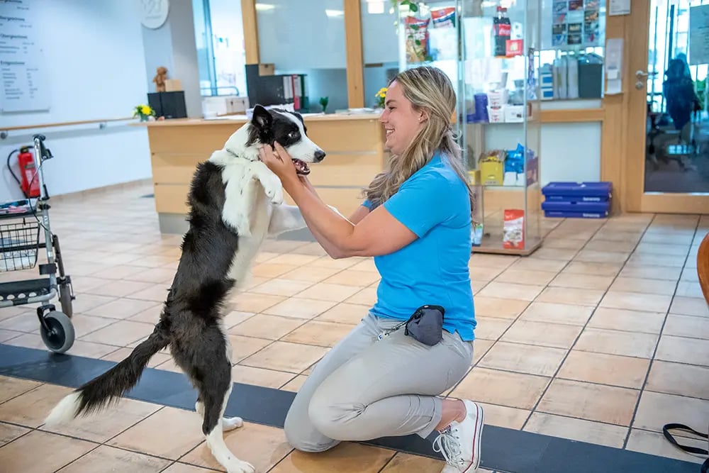 Haus Wilhelmsgarten Braunschweig – Bild 16